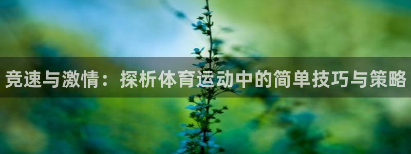 J9官网下载注册：竞速与激情：探析体育运动中的简单技