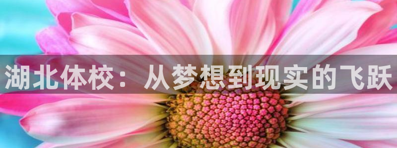 J9官网下载招商电话号码是多少啊：湖北体校：从梦想到现实的飞