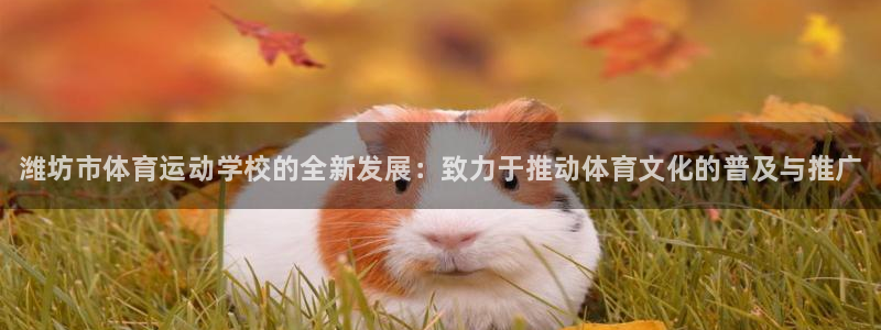 J9官方正版app娱乐代理怎么样：潍坊市体育运动学校的全新发