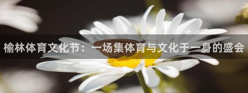 J9官网下载招商电话是多少号码：榆林体育文化节：一场