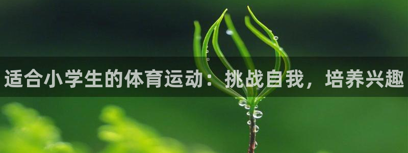 J9官方正版app代理：适合小学生的体育运动：挑战自我，培养