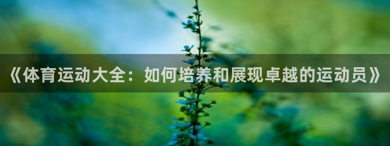 J9官网下载招商电话号码查询是多少：《体育运动大全：