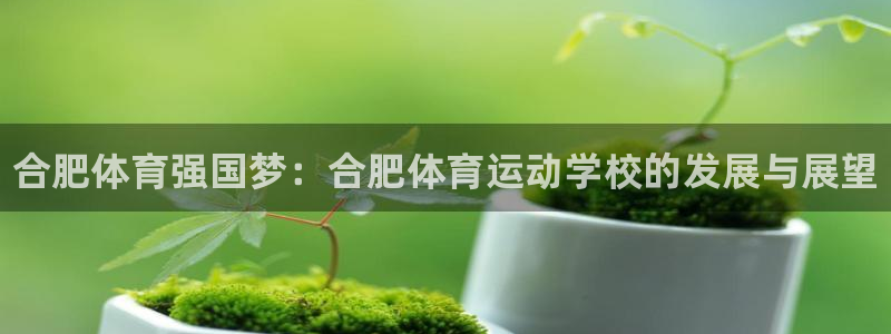 J9官网下载招商电话是多少号码：合肥体育强国梦：合肥体育运动
