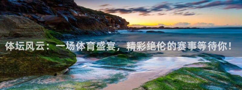 J9官网下载招商电话号码查询是多少：体坛风云：一场体育盛宴，
