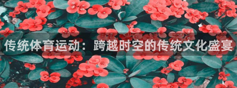 J9官方正版app集团官网首页网址：传统体育运动：跨越时空的