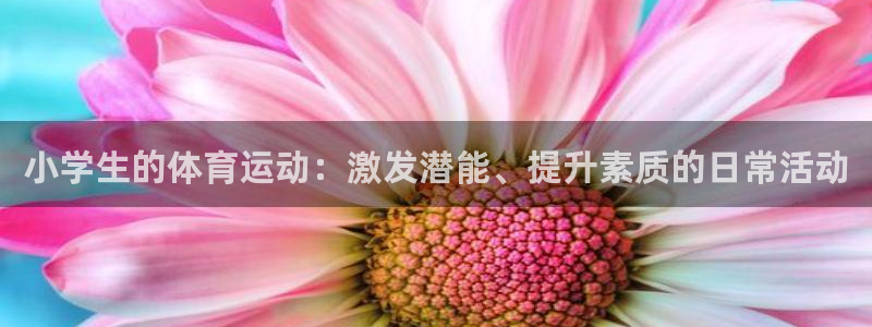 J9官网下载招商电话号码：小学生的体育运动：激发潜能、提升素