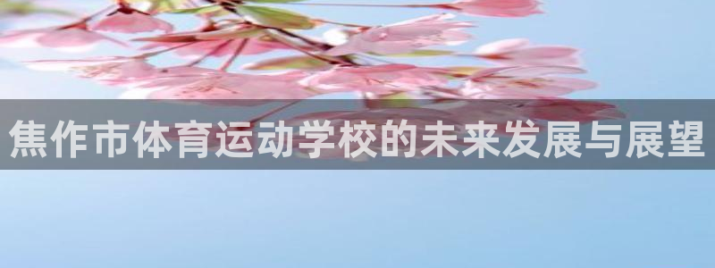 注册J9官方正版app：焦作市体育运动学校的未来发展