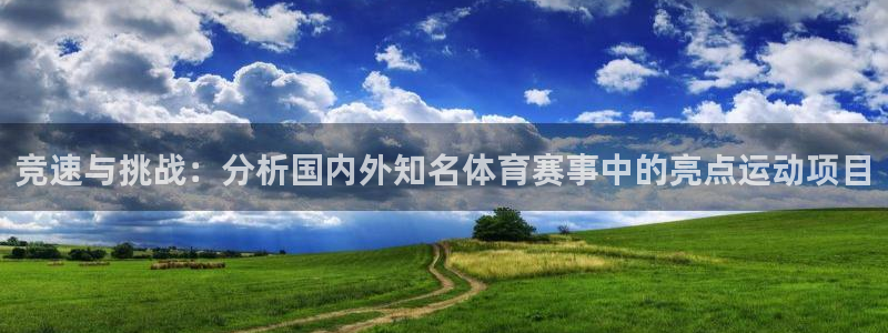 J9官方正版app集团logo：竞速与挑战：分析国内外知名体