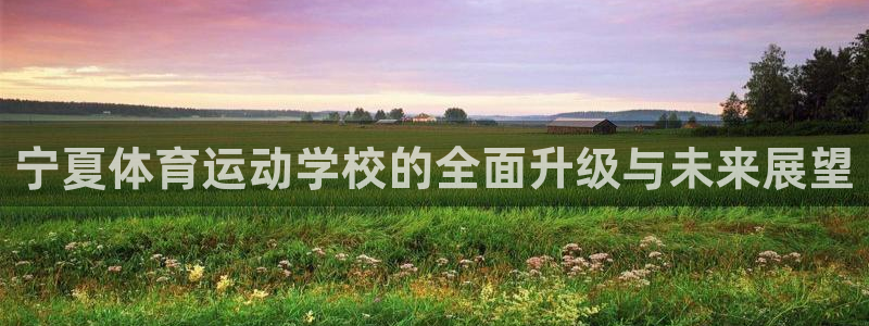 J9官方正版app集团logo：宁夏体育运动学校的全