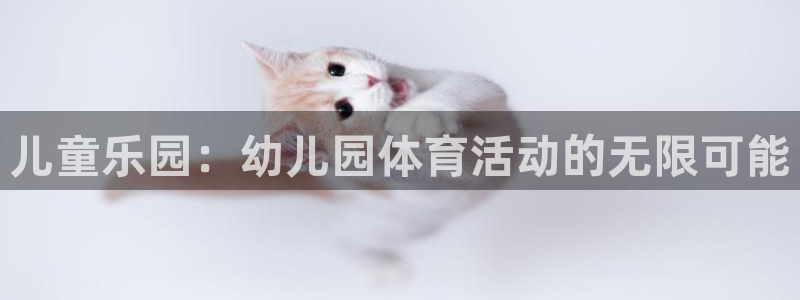 J9官方正版app娱乐平台：儿童乐园：幼儿园体育活动