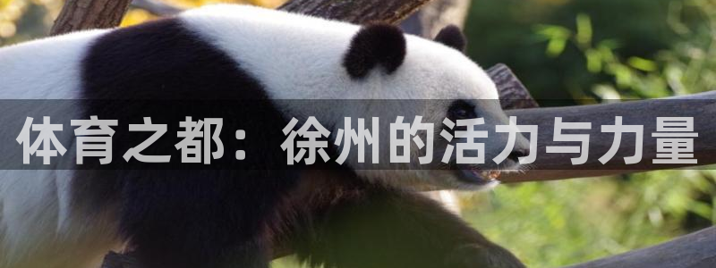 J9官网下载开户：体育之都：徐州的活力与力量