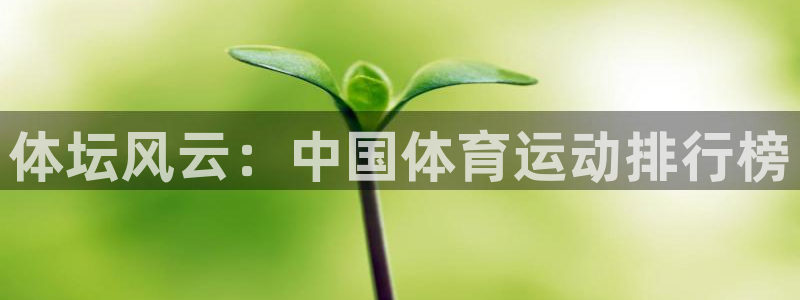 J9官方正版app开户：体坛风云：中国体育运动排行榜