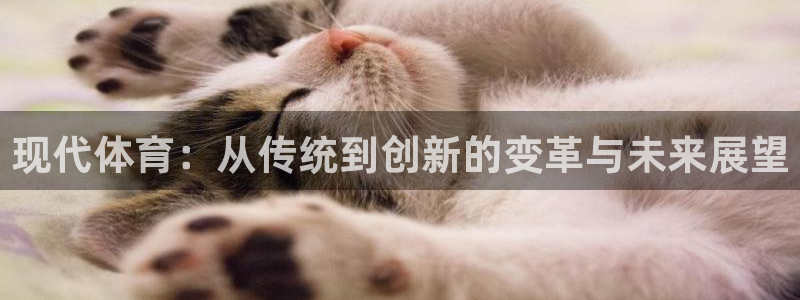 J9官网下载平台APP：现代体育：从传统到创新的变革