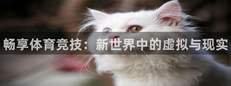 J9官方正版app官网