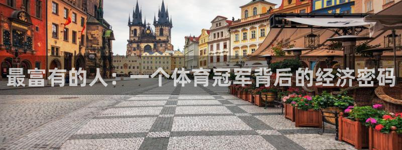 德国J9官方正版app集团