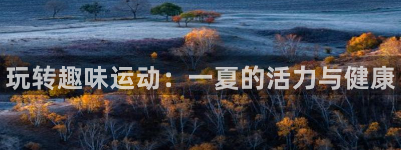 J9官方正版app新能源：玩转趣味运动：一夏的活力与健康