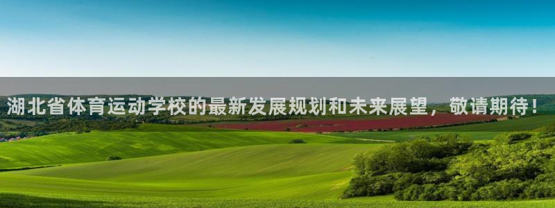 J9官网下载招商电话号码查询是多少：湖北省体育运动学校的最新