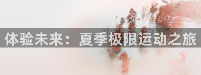 J9官方集团官网:体验未来:夏季极限运动之旅
