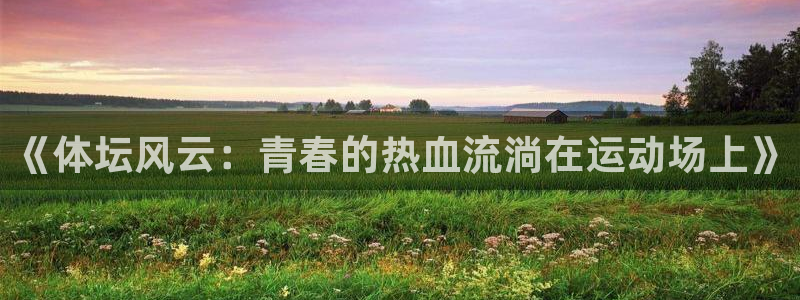 J9官方正版app代理：《体坛风云：青春的热血流淌在