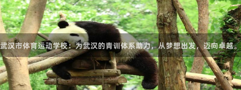 J9官网下载联系电话：武汉市体育运动学校：为武汉的青