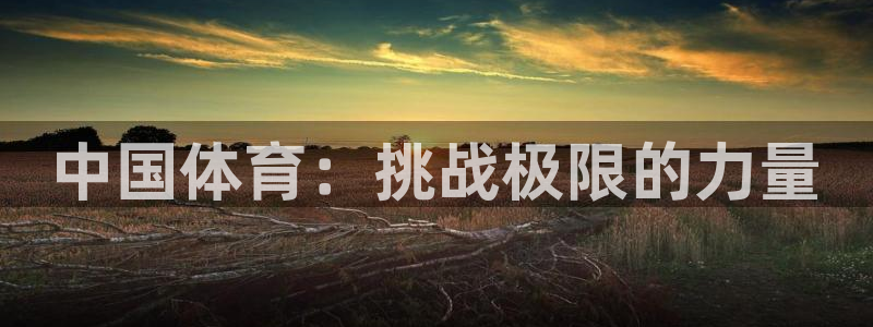 J9官网下载娱乐:中国体育:挑战极限的力量